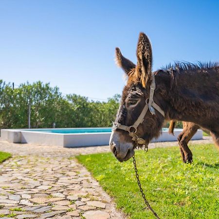 Burro Ville By Host Wise Portimao Exterior photo