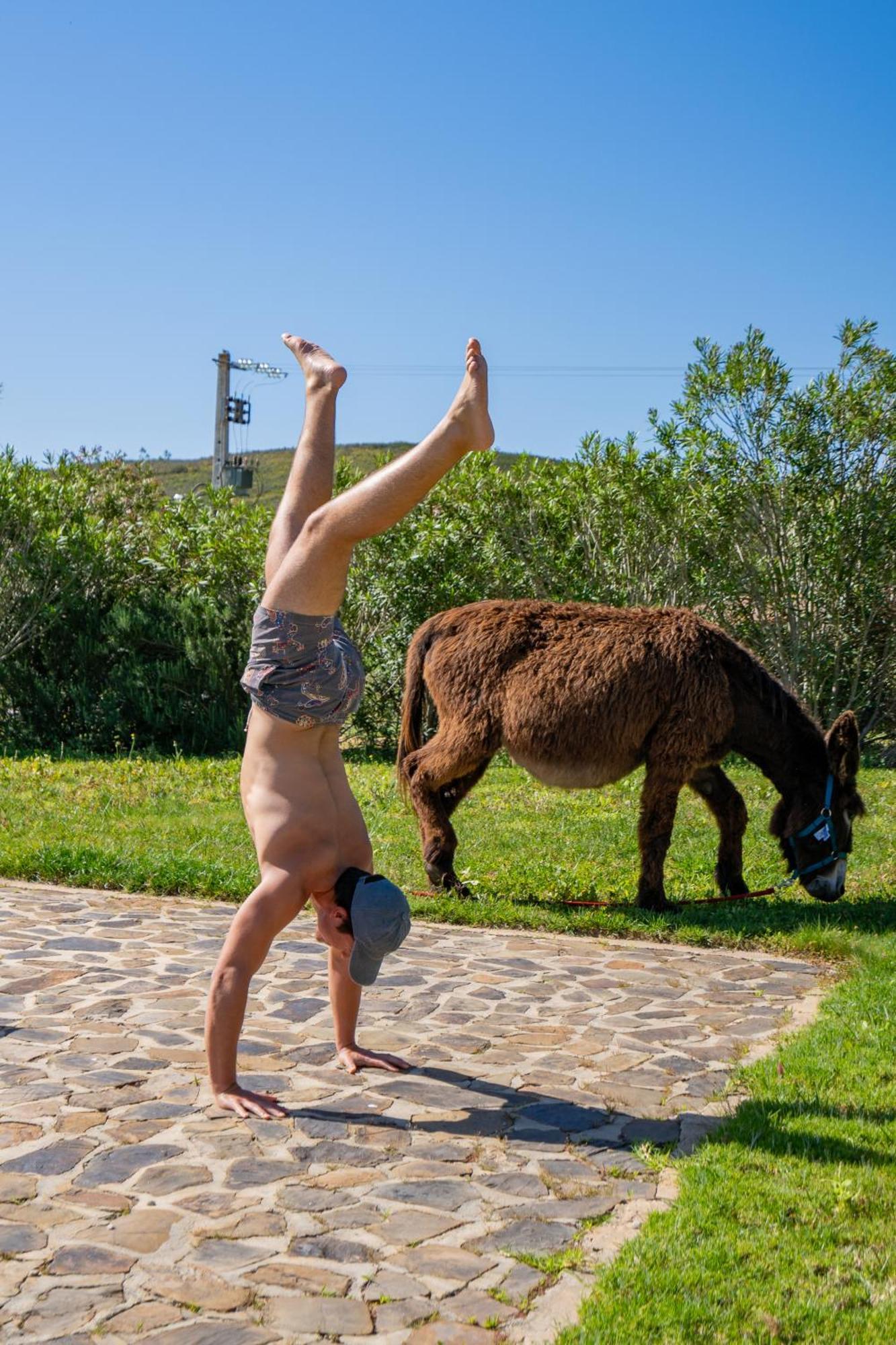 Burro Ville By Host Wise Portimao Exterior photo