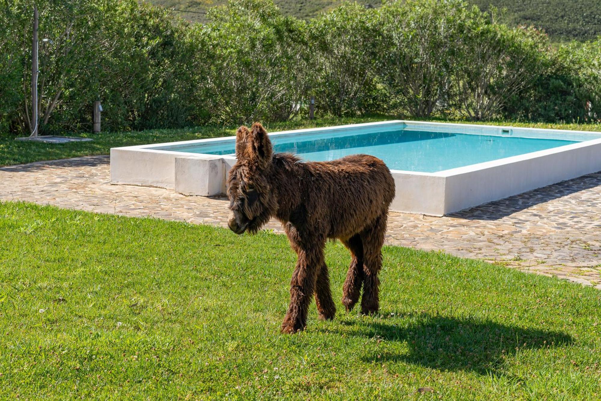 Burro Ville By Host Wise Portimao Exterior photo